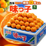 Aji-Ko Mikan (Seedless) | Nagasaki Prefecture