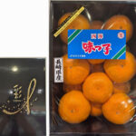 Aji-Ko Mikan (Seedless) | Nagasaki Prefecture | M Size