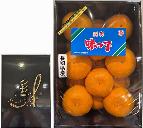 Aji-Ko Mikan (Seedless) | Nagasaki Prefecture | M Size