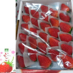 Benihoppei Strawberry | Tokushima Prefecture