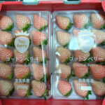 Cotton Berry Strawberry (Premium Strawberry) | Nara Prefecture | Pack 15 Pcs