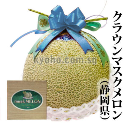 Crown Musk Melon | SHIRO - Premium Grade | Shizuoka Prefecture | 1.5kg