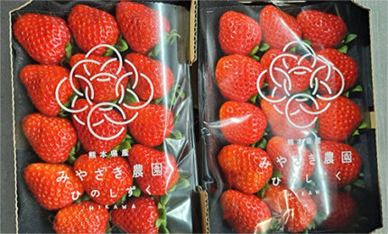 Hinoshizuku Strawberry (Deluxe Grade) | Kumamoto Prefecture | Pack
