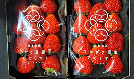 Hinoshizuku Strawberry (Deluxe Grade) | Kumamoto Prefecture | 3L Size