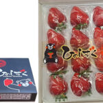 Hinoshizuku Yurikago Ichigo | Kumamoto Prefecture