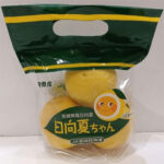 Hyuganatsu Citrus (Seedless) | Miyazaki Prefecture | Pack 3 Pcs