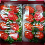 Kodohime Strawberry (New Variety) | Nara Prefecture | Pack 8 Pcs