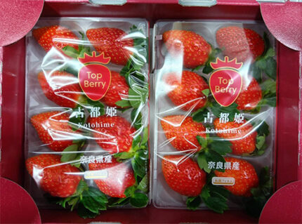 Kodohime Strawberry (New Variety) | Nara Prefecture | Pack 8 Pcs