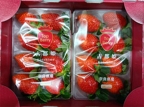 Kodohime Strawberry (New Variety) | Nara Prefecture | Pack 8 Pcs