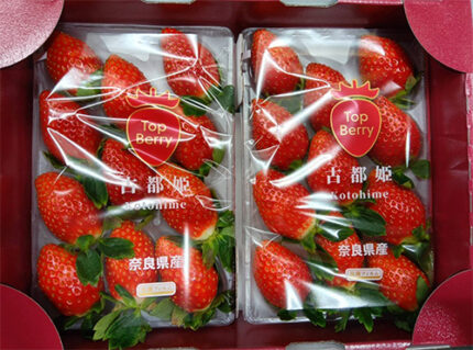 Kodohime Strawberry (New Variety) | Nara Prefecture | Pack 11 Pcs