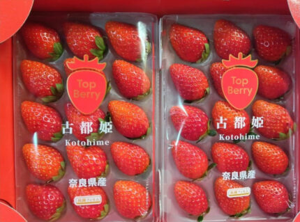 Kodohime Strawberry (New Variety) | Nara Prefecture