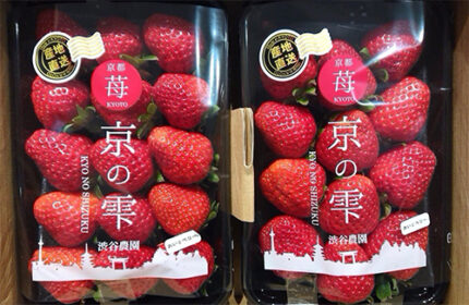 Kyo no Shizuku Strawberry | Kyoto City