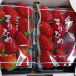 Marihime Strawberry (Deluxe Grade) | Wakayama Prefecture