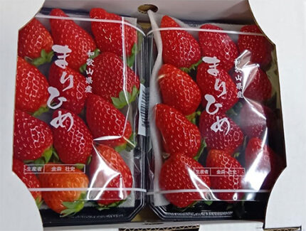 Marihime Strawberry (Deluxe Grade) | Wakayama Prefecture