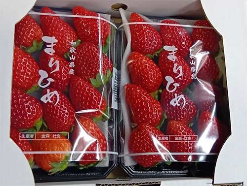 Marihime Strawberry (Deluxe Grade) | Wakayama Prefecture