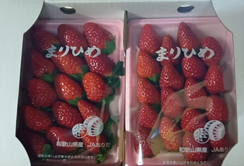 Marihime Strawberry (Deluxe Grade) | Wakayama Prefecture