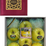 Ohrin Apple (Special Selected) | Aomori Prefecture | M Size 6 Pcs