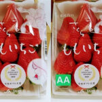 SAKURA MOMO Strawberry | Tokushima Prefecture | Pack