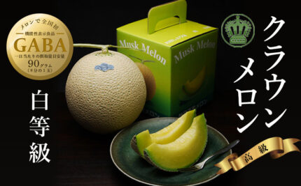 Crown Musk Melon | SHIRO - Premium Grade | Shizuoka Prefecture