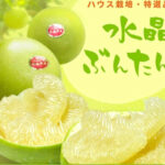 Suiso Buntan (Crystal Pamelo) | Kouchi Prefecture