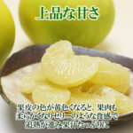 Suiso Buntan (Crystal Pamelo) | Kouchi Prefecture