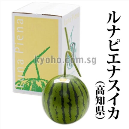 Luna Piana Premium Watermelon | Kouchi Prefecture