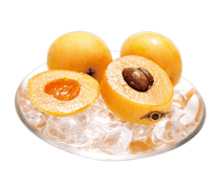 Mogi Biwa (Loquat) | Nagasaki Prefecture
