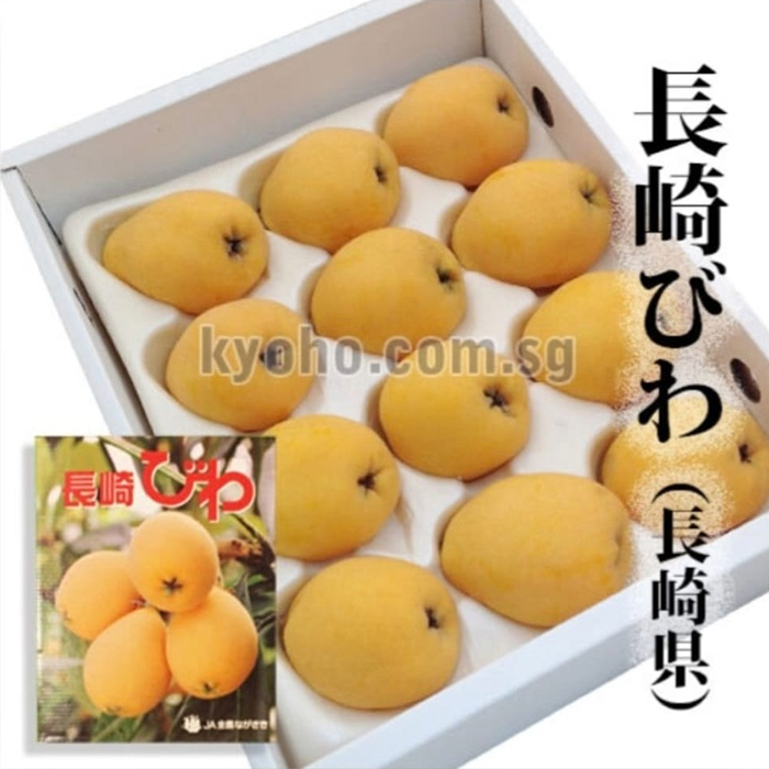 Mogi Biwa (Loquat) | Nagasaki Prefecture | L Size