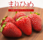 Marihime Strawberry (Deluxe Grade) | Wakayama Prefecture