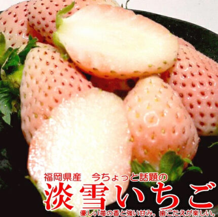Awayuki Strawberry (Deluxe Grade) | Fukuoka Prefecture