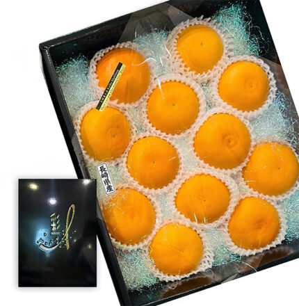 Setoka Orange (Seedless) | Nagasaki Prefecture | L Size