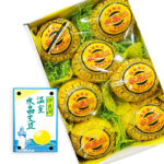 Crystyl Buntan | Aichi Prefecture