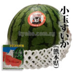 Hitorijime Watermelon | Kumamoto Prefecture