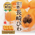 Mogi Biwa (Loquat) | Nagasaki Prefecture