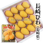Mogi Biwa (Loquat) | Nagasaki Prefecture | M Size