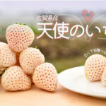 Angel Strawberry | Saga Prefecture