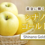 Shinano Gold Apple | Aomori Prefecture