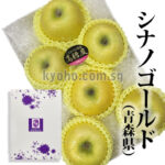 Shinano Gold Apple | Aomori Prefecture | 2L Size