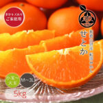 Setoka Orange | Mie Prefecture