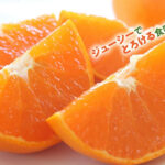Setoka Orange | Mie Prefecture