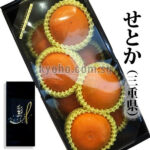 Setoka Orange | Mie Prefecture | 2L Size