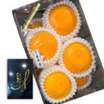 Setoka Orange | Mie Prefecture | L Size
