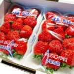 Benihoppei Strawberry | Shizuoka Prefecture