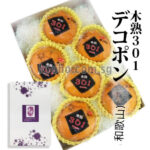 Dekopon Orange | Wakayama Prefecture | 2L Size 6 Pcs