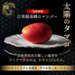 Miyazaki Top Premium Taiyo (Sun Egg) Mango | Miyazaki Prefecture