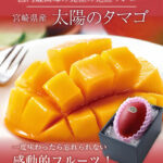 Miyazaki Top Premium Taiyo (Sun Egg) Mango | Miyazaki Prefecture 5L Size