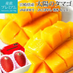 Miyazaki Top Premium Taiyo (Sun Egg) Mango | Miyazaki Prefecture | 4L Size