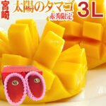 Miyazaki Top Premium Taiyo (Sun Egg) Mango | Miyazaki Prefecture | 3L Size
