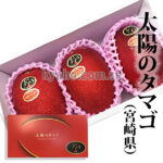 Miyazaki Top Premium Taiyo (Sun Egg) Mango | Miyazaki Prefecture | 2L Size