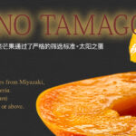 Miyazaki Top Premium Taiyo (Sun Egg) Mango | Miyazaki Prefecture